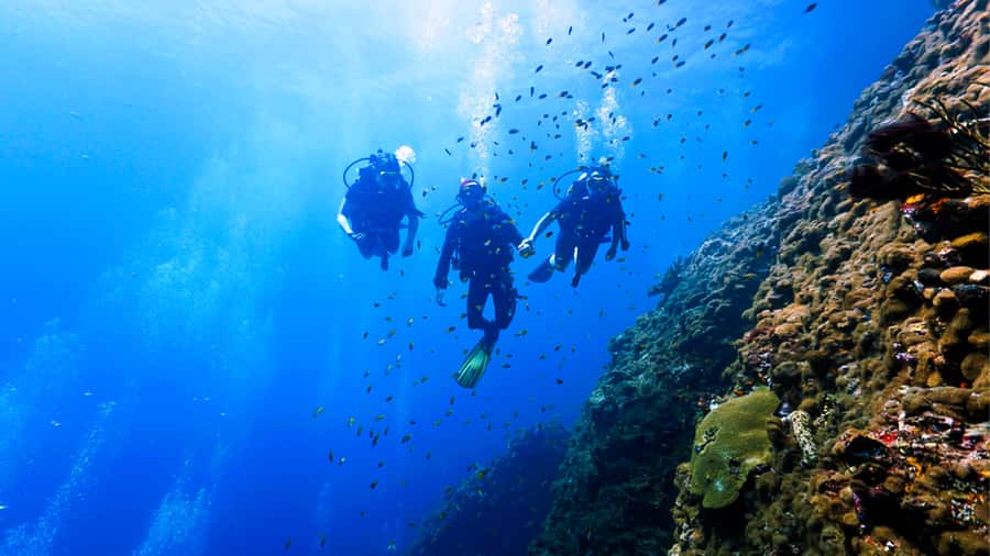 From Hurghada: Scuba Diving with Expert Guide & 2 Dives - Should you book this scuba trip?