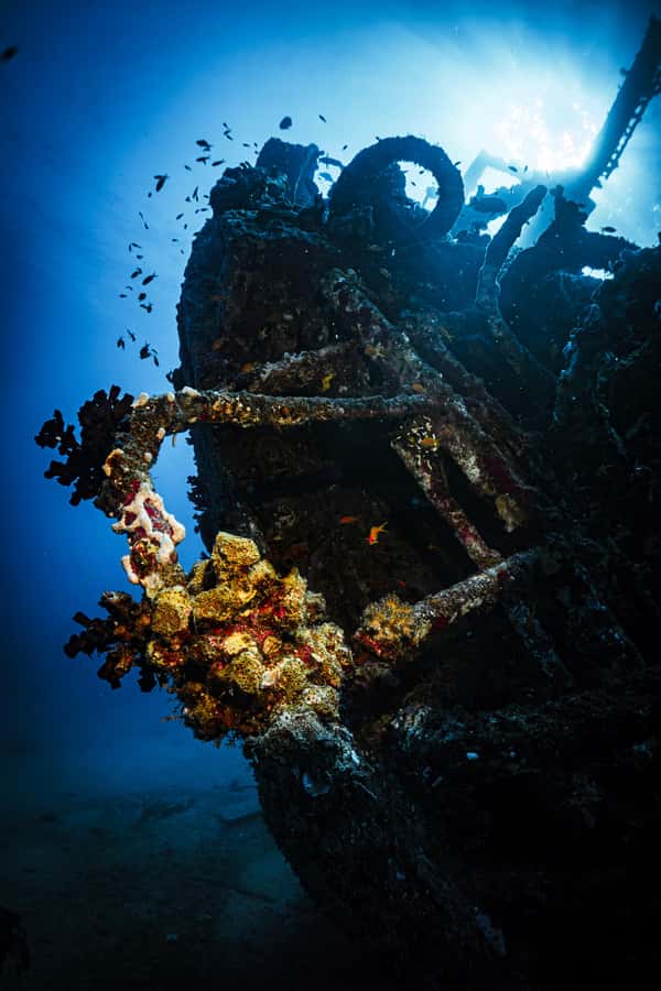From Jeddah: Boat Trip and Diving for Certified Divers - The break and breakfast period
