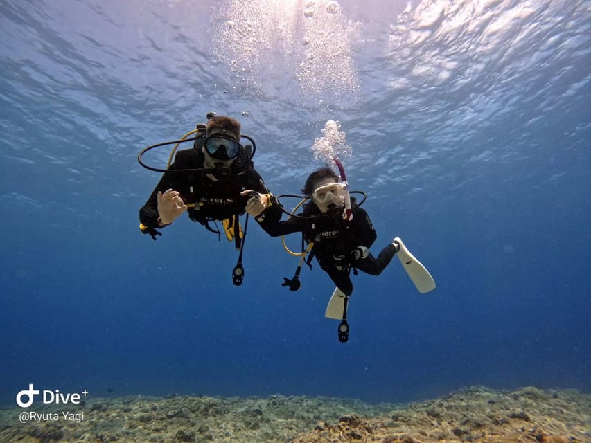 From Naha Scuba Diving Trip in Kerama(for certified divers) - Equipment, wetsuits, and comfort