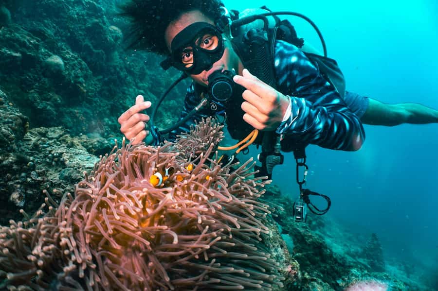 From Phi Phi: Beginner Scuba Diving Day Trip with 2 Dives - Key points to know before booking