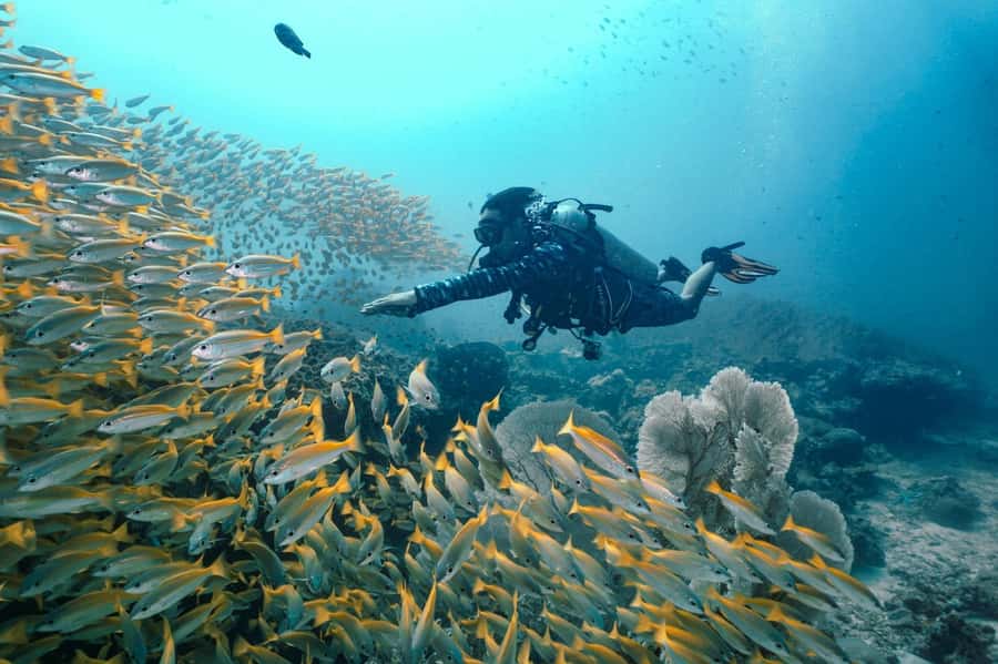From Phi Phi: Beginner Scuba Diving Day Trip with 2 Dives - The short boat ride to Phi Phi Leh
