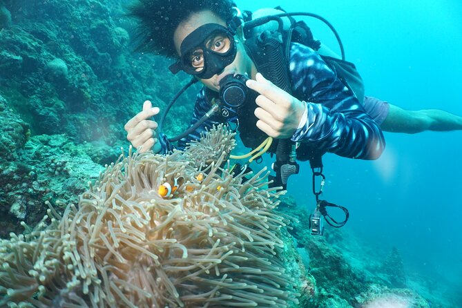 From Phi Phi: Half Day Discover Scuba (2 Dives) - Lunch, fruit, and the break between sessions
