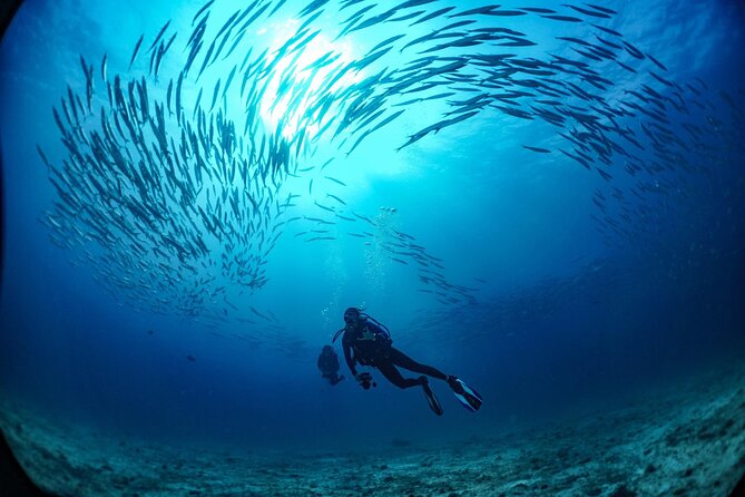 From Phi Phi: Half-Day Trip for Certified Divers (2 Dives) - Two underwater sessions around Phi Phi National Marine Park