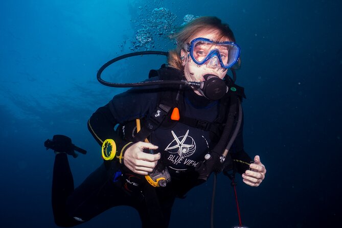 From Phi Phi: Half-Day Trip for Certified Divers (2 Dives) - Is $93 good value for a half-day?