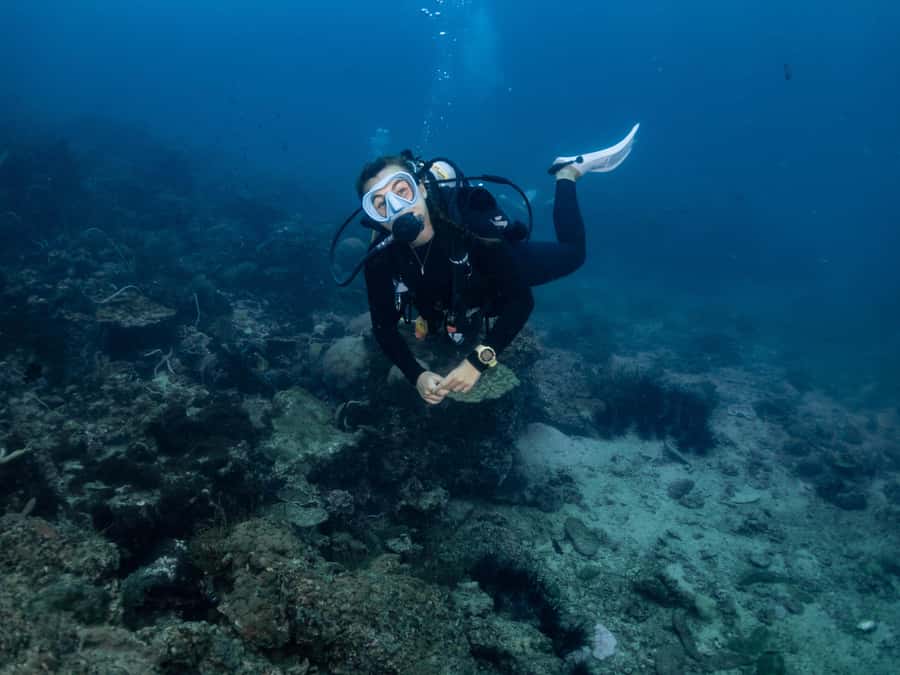 From Phi Phi: Half-Day Trip for Certified Divers (2 Dives) - What to bring for a smoother five hours