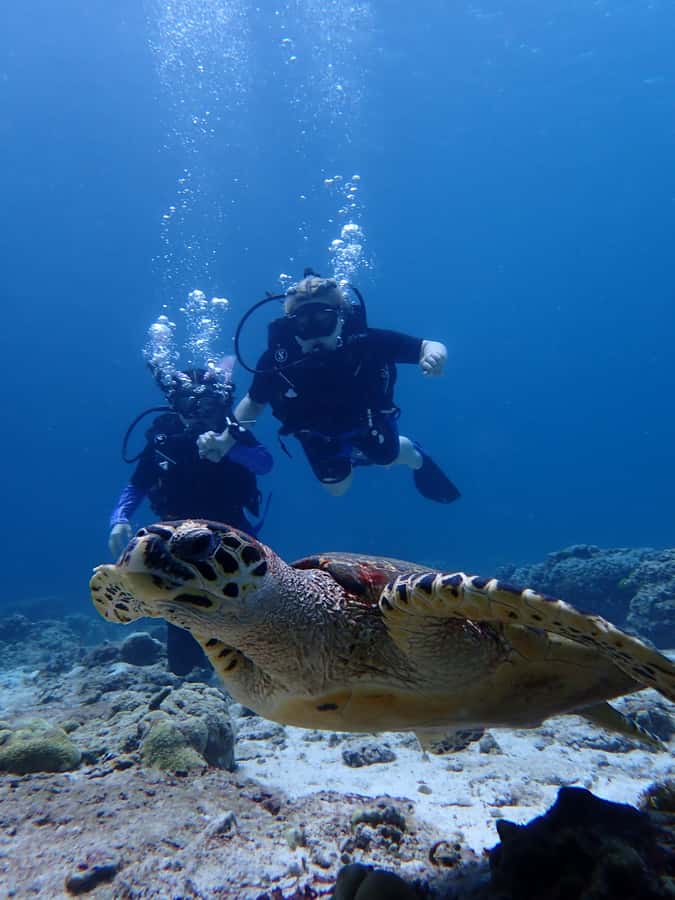 From Phuket: 3-Day SSI/PADI Open Water Diver Certification - Key points to know before you book