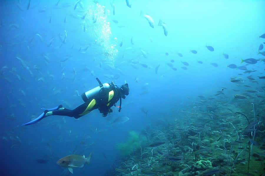 From Phuket: 3-Day SSI/PADI Open Water Diver Certification - Booking details worth checking first