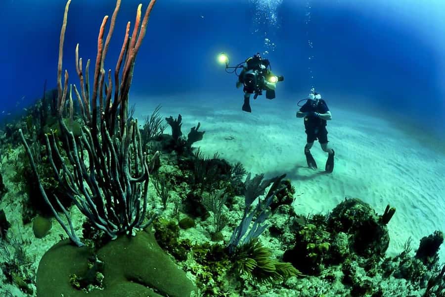 From Phuket: 3-Day SSI/PADI Open Water Diver Certification - Patient teaching matters more than flashy scenery