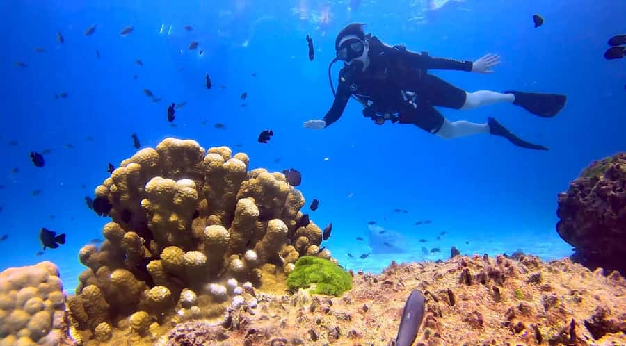 From Phuket: 3-Day SSI/PADI Open Water Diver Certification - Racha Yai brings your first sea sessions
