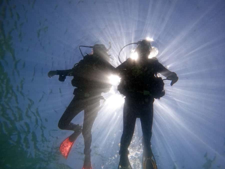 from Rio de Janeiro: Diving in Buzios - Key points to know before booking