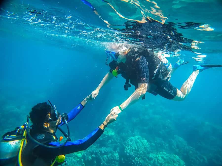 From Sharm: Luxury Diving cruise to Ras Mohammed with Lunch - The early pickup from Sharm El Sheikh