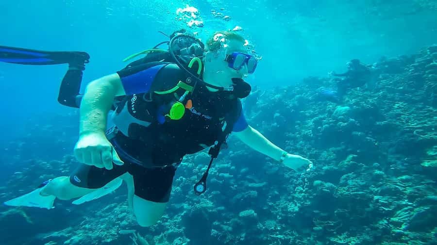 From Sharm: Luxury Diving cruise to Ras Mohammed with Lunch - Lunch on board and the return journey