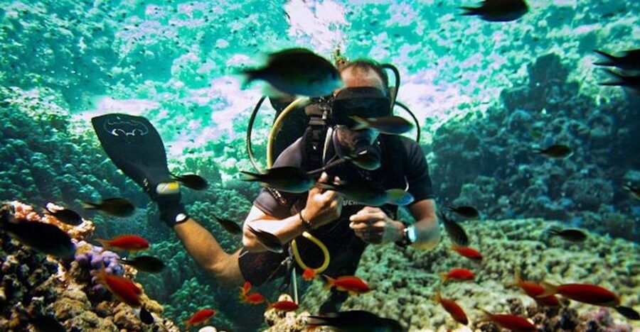 From Sharm or Dahab: Blue Hole & Canyon Sea Dive Experience - Key points at a glance