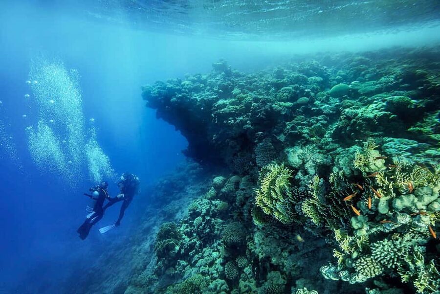 From Sharm or Dahab: Blue Hole & Canyon Sea Dive Experience - What happens if you are not certified