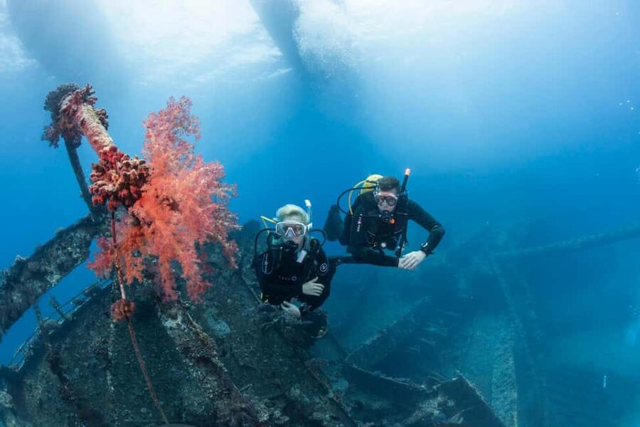 From Sharm or Dahab: Blue Hole & Canyon Sea Dive Experience - What the $176 price really covers
