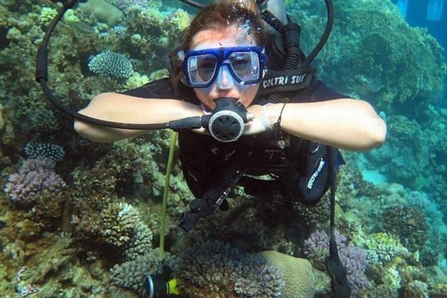 From Sharm or Dahab: Blue Hole & Canyon Sea Dive Experience - The morning transfer from Sharm or Dahab