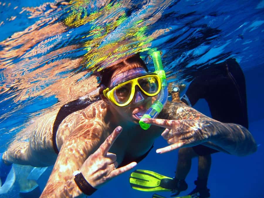 From Sharm: Ras Mohammed snorkeling cruise & optional diving - Shark Reef, Yolanda Reef, and the named sites