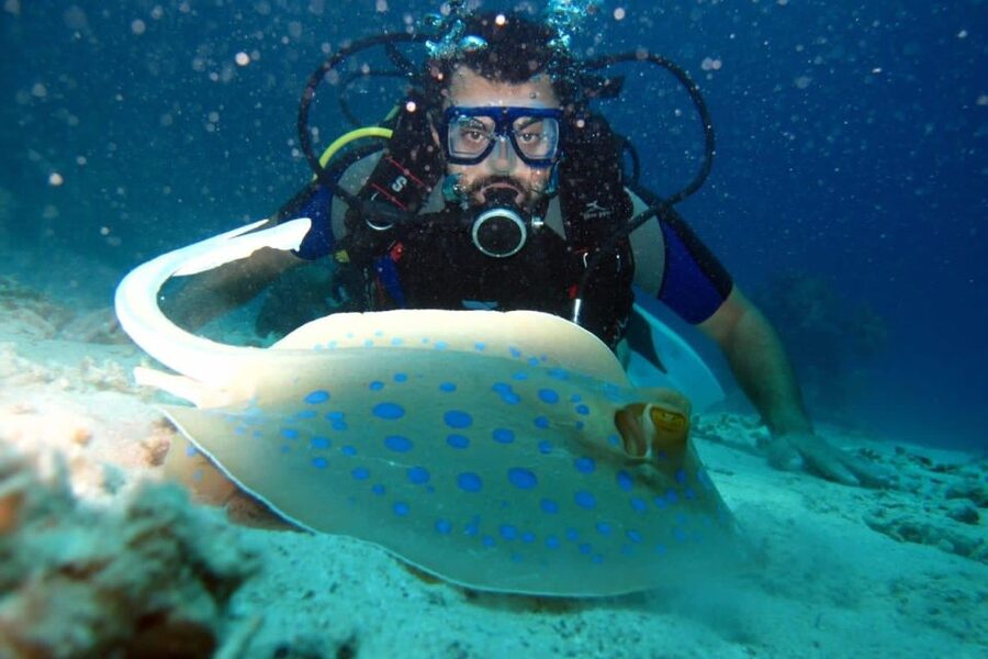 From Sharm: Ras Mohammed snorkeling cruise & optional diving - White Island and the changing tide