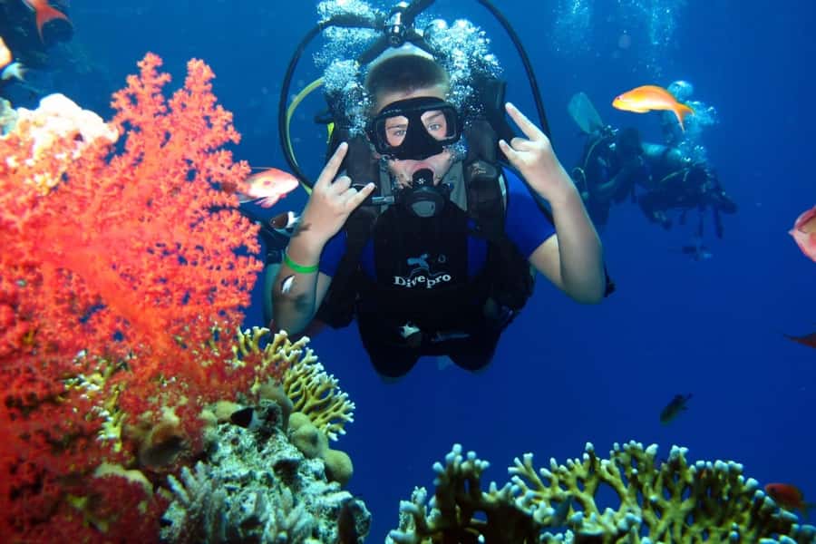 From Sharm: Ras Mohammed snorkeling cruise & optional diving - Optional introductory scuba session