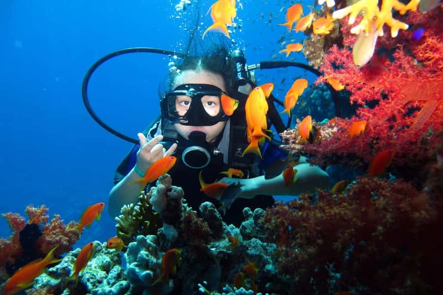 From Sharm: Ras Mohammed snorkeling cruise & optional diving - Crew, languages, and the feel of the day