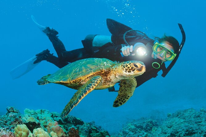 From Side, Alanya: Scuba Diving With 2 Time Dive & Lunch - Key points to know before booking