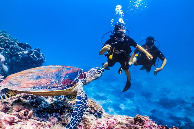 From Side, Alanya: Scuba Diving With 2 Time Dive & Lunch - Instruction before the first 3 to 5 meter session