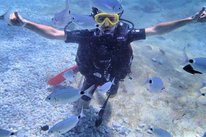 From Side, Alanya: Scuba Diving With 2 Time Dive & Lunch - What the $45.38 price really covers