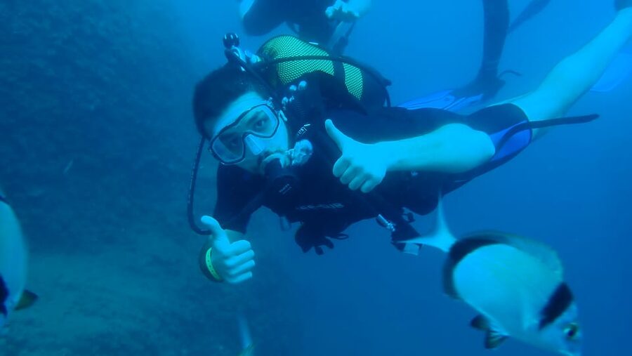 From Side: Guided Scuba Diving in Alanya w/ Lunch & Transfer - Weather, harbor conditions, and what you may see
