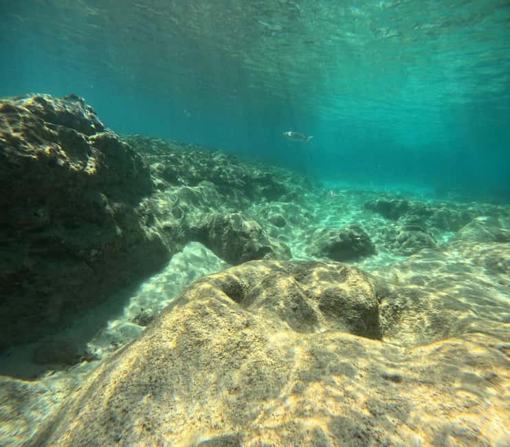 Fuerteventura: First Scuba Experience – Calm 1:1 Dive - Morro Jable Beach Keeps the Start Simple