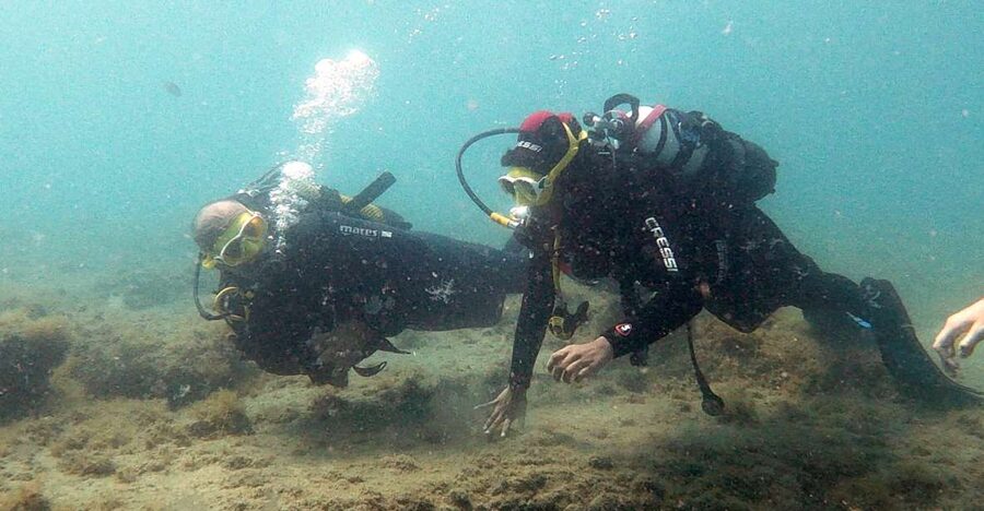 Fuerteventura: Introduction to Scuba Diving - Key points at a glance