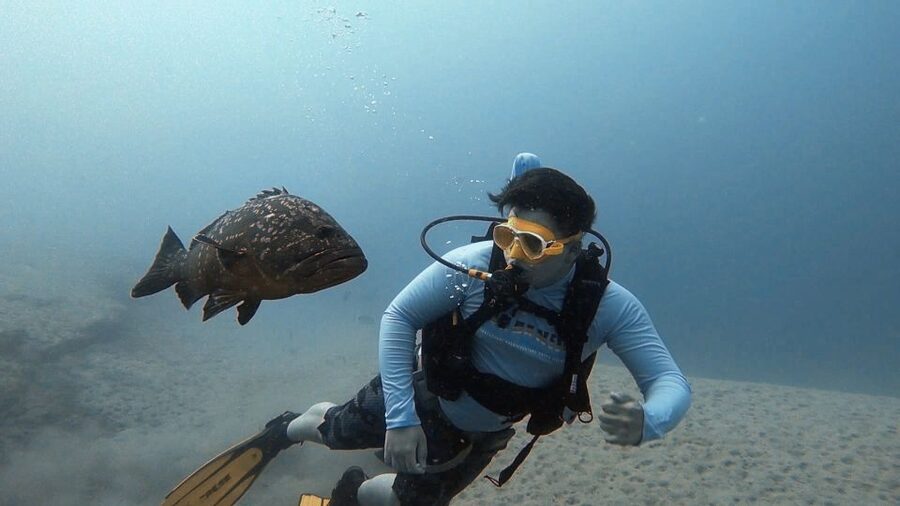 Fuerteventura: Introduction to Scuba Diving - The underwater scenery near La Lajita