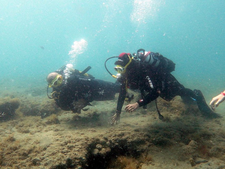 Fuerteventura: Introduction to Scuba Diving - A good choice for nervous beginners