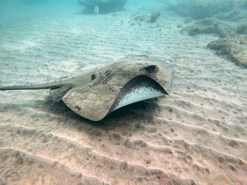 Fuerteventura: Introduction to Scuba Diving - Health, comfort, and practical limits