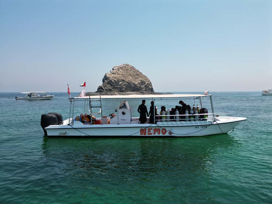Fujairah: 2 Fun Dive Experience for Certified Divers - Leaving Dubai for Dibba’s Gulf of Oman Reefs