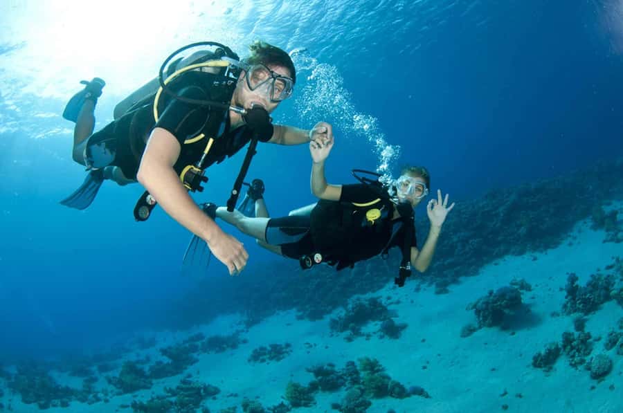 Fujairah: 2 Fun Dive Experience for Certified Divers - First Stop: Dibba Rock