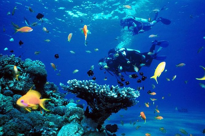Full-Day Beginner Scuba Course with Private Tuition, Racha Yai - What this beginner course really offers