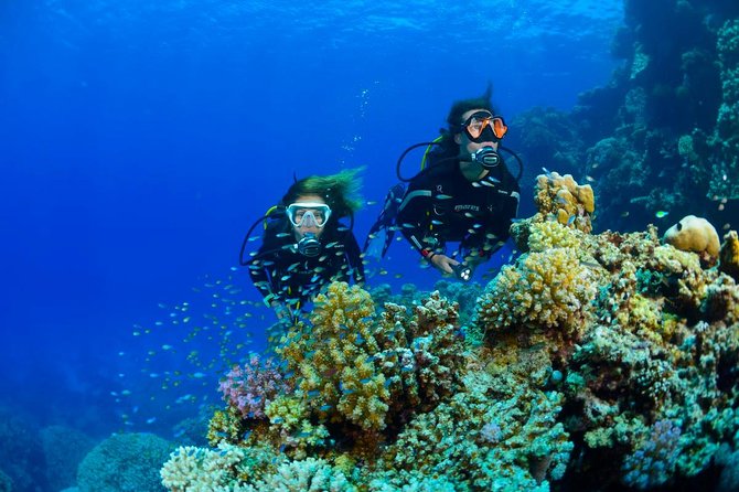 Full-Day Beginner Scuba Course with Private Tuition, Racha Yai - Koh Racha Yai and the first underwater session