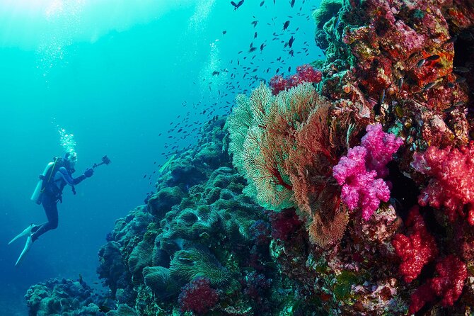 Full-Day Beginner Scuba Course with Private Tuition, Racha Yai - What the private tuition means on a shared boat