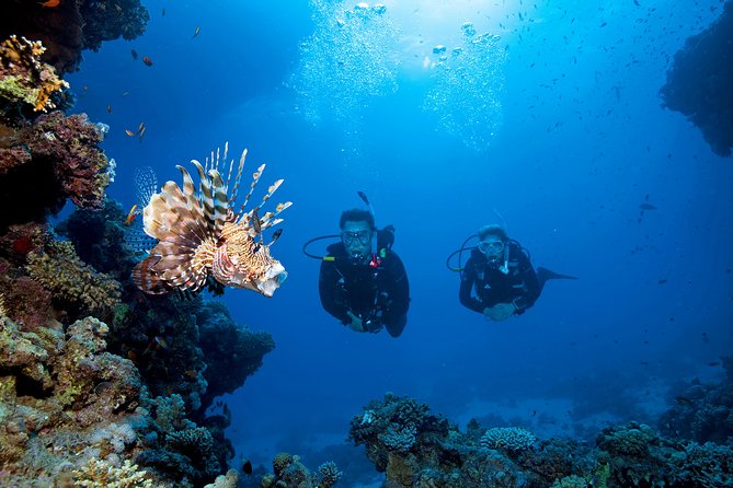 Full-Day Beginner Scuba Course with Private Tuition, Racha Yai - Meals, equipment, and what is included
