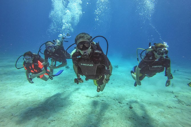 Full-Day Catalina Island Scuba Diving Tour from La Romana - Key points to know before you book