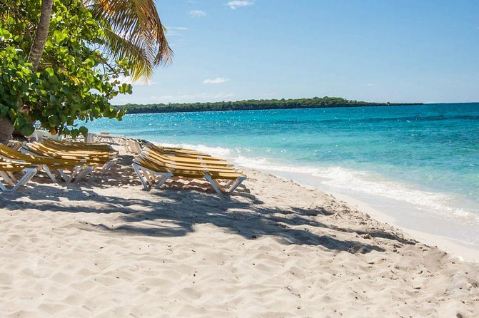 Full-Day Catalina Island Scuba Diving Tour from La Romana - What your nine-hour Catalina day looks like
