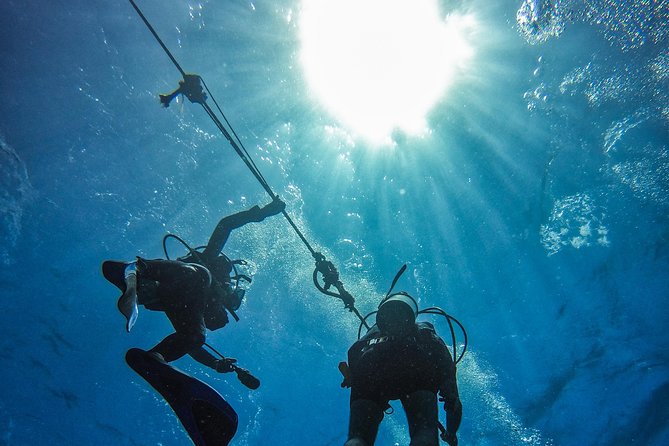 Full-Day Catalina Island Scuba Diving Tour from La Romana - Safety, certification, and group management
