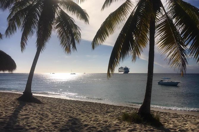 Full-Day Catalina Island Scuba Diving Tour from La Romana - Who will enjoy this trip most