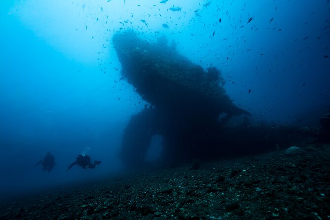 Full-Day Discover Scuba Diving Tour for Beginners in Tulamben - Coral Garden: the first underwater outing