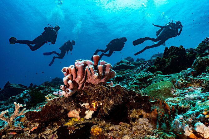 Full-Day Discover Scuba Diving Tour for Beginners in Tulamben - The USS Liberty wreck is the main draw