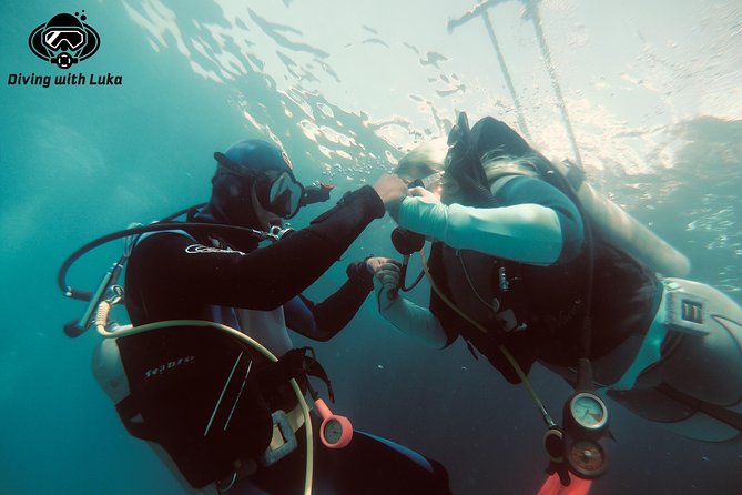Full day diving with private guide, lunch drinks transportation - Key details before you book