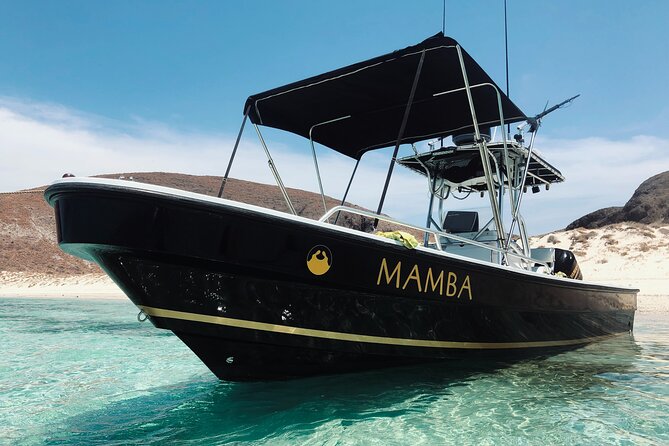 Full Day Private Scuba Diving in Espiritu Santo Island - Leaving La Paz for Espiritu Santo Island