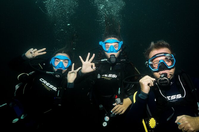 Full Day Private Scuba Diving in Espiritu Santo Island - What the private format is worth