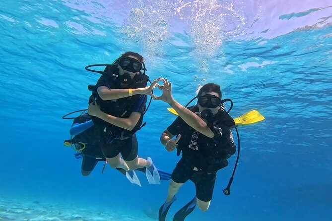 Full Day Scuba Diving Boat Trip for Professional Divers_Hurghada - Transfers, timing, and group size