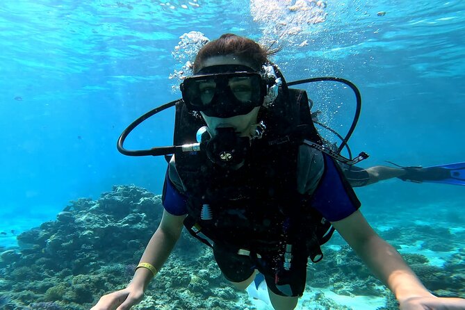 Full Day Scuba Diving Boat Trip for Professional Divers_Hurghada - What the strongest praise tells you